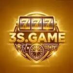 3S Game