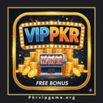 PKRVIP GAME